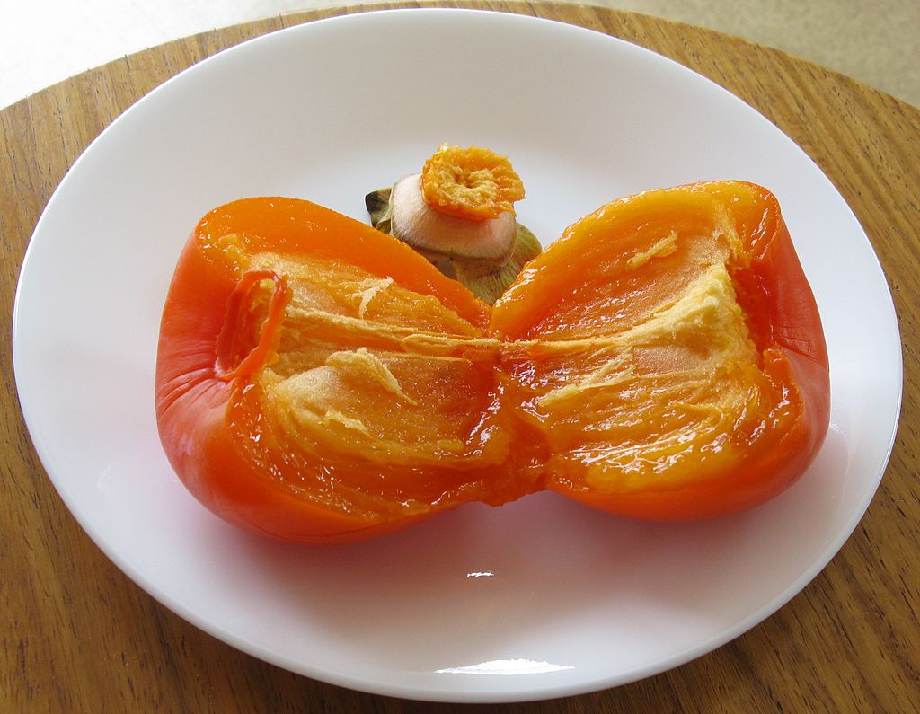 Harvesting Persimmons