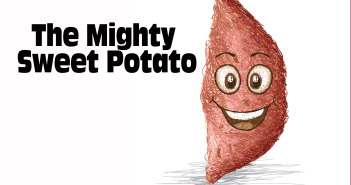 Yam or Sweet Potato