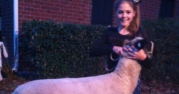 Raising Sheep for the Angelina County Fair