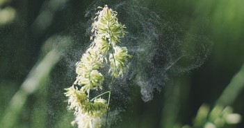 Surprising Symptoms of Allergies and Tips to Manage Them