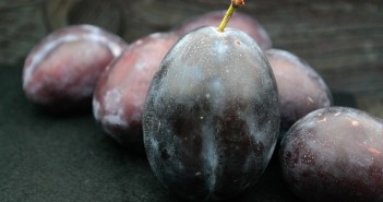 A Great Recipe for Summer Plums