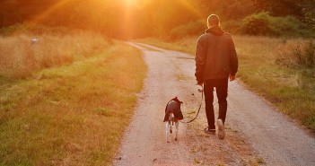 Dinner For Two – You And Your Dog