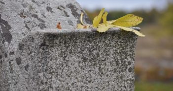 Headstone Cleaning