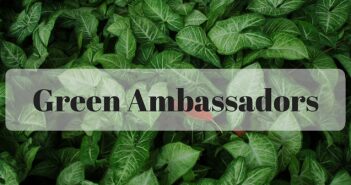 Green Ambassadors Awarded 2016 Vice Chancellor’s Award in Excellence Partnership Award