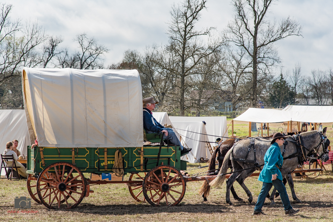 Photos The Battle of Blackjack Grove Texas Forest Country Living
