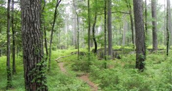 All Tribes Converge on Conservation