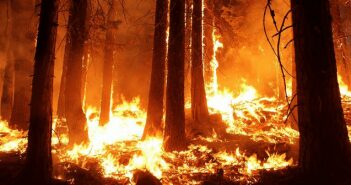 Prescribed Versus Wild Fires