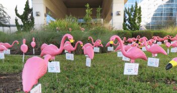 Breast Cancer is for the Birds – Come Get Your Flamingo Sept. 29