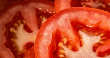 The Great Tomato