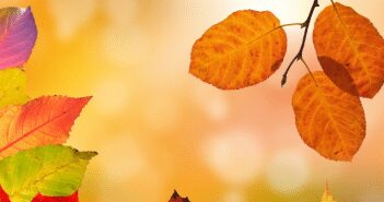 Texas Forestry Museum’s Fall Festival & Halloween Scavenger Hunt