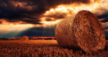 Late Season Hay Harvest
