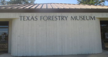Holiday at the Museum