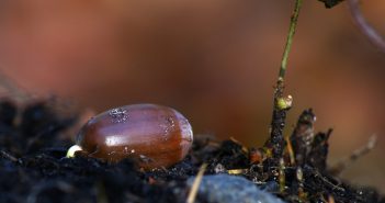 Wet Soil Means Gardening Might be Delayed