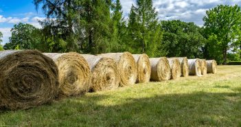 Gearing Up for a Successful Hay Harvest
