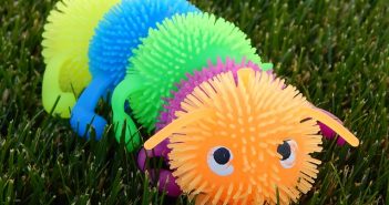 Centipedes and Millipedes