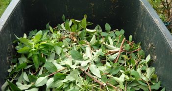 Composting – How To Do It Yourself