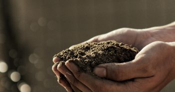 Managing Your Garden’s Soil