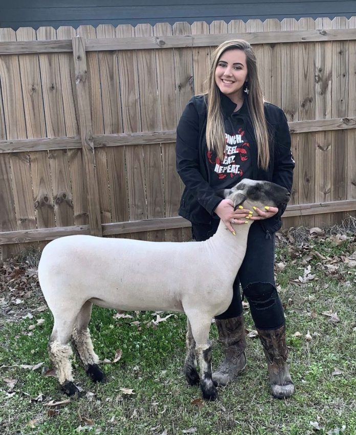 March 1 2020 Jordan Rhodes shows lamb at county fair