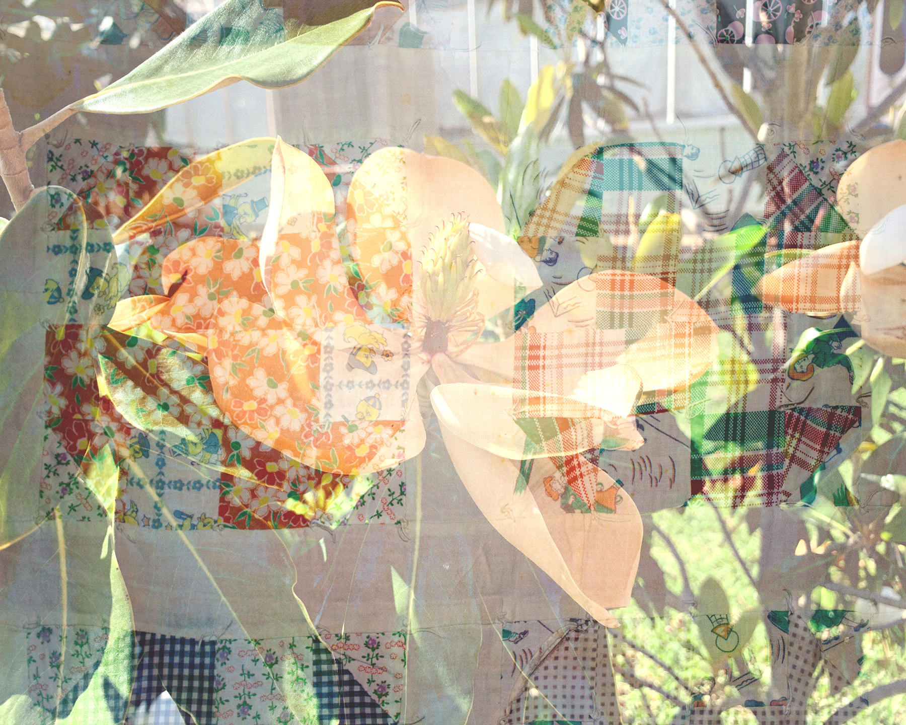 ‘Blanket Statements’ Texas Forest Country Living