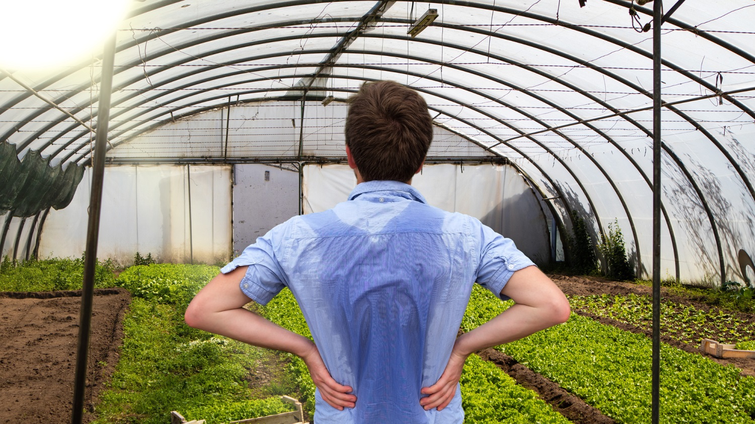 Soil Solarization - Texas Forest Country Living